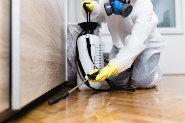 Best Local Pest Control Services  in New Baltimore, MI