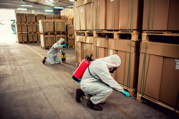Best Best Pest Control Companies  in New Baltimore, MI