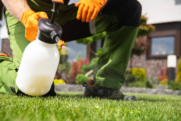 Best Pest Removal Services  in New Baltimore, MI