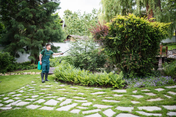 Best Local Pest Control Services  in New Baltimore, MI