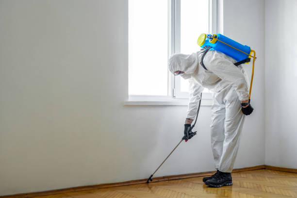 Best Wildlife Control Services  in New Baltimore, MI