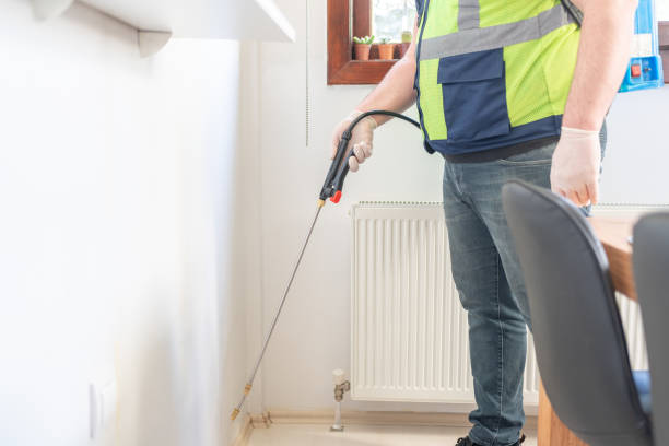 Reliable New Baltimore, MI Pest Control Solutions