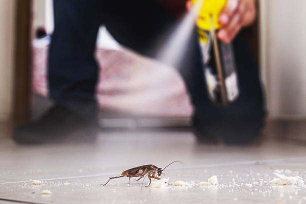 Best Emergency Pest Control  in New Baltimore, MI